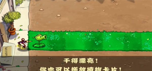 plant vs zombie black westward journey version
