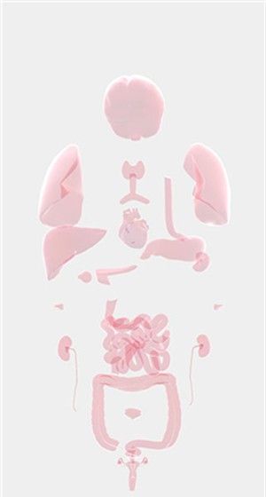 life simulator Chinese version