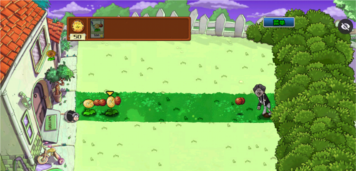 Plant vs. Zombie ikun Mobile Picture 6