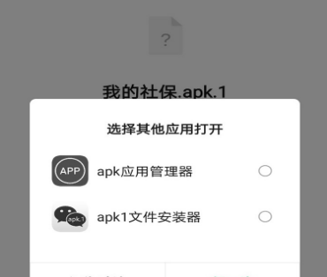 Apk1 file is installed implement