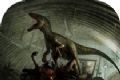 Dragon Island Monster   Official authorised edition downloads the entrance