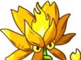 Plants vs Zombies   Government-owned net edition