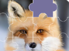 Drag a drag puzzle   Bring eminent edition