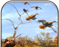 Real Mallard Hunting   Mobile phone edition