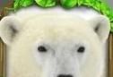 Ultimate Polar Bear Simulator   Chinese change edition