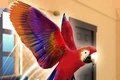 Pet Parrot Simulator   Latest edition