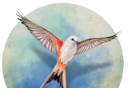 spread your wings and soar   Mobile phone edition