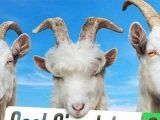 Simulated Goat 3   Edition of menu of the buy inside imitate