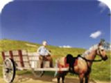 Free Horse Riding Simulator   Bring eminent edition