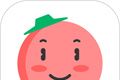 Tomato English logo image