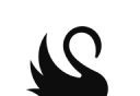 Sparrow Music logo image