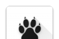 Amarok logo image