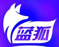Blue Fox Video logo image