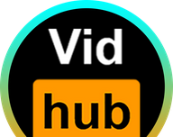 vidhub logo image