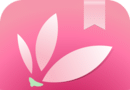 Pink Disc Bookstore  logo image