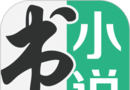 Book Flag Fiction logo image