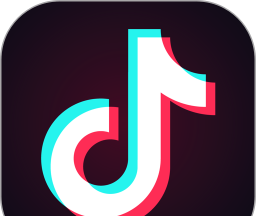 TikTok logo image