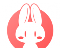 Rabbit reading logo image