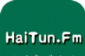 Voice of the Dolphin logo image