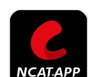 Net Flying Cat Movie logo image