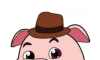 ZZRJK Pig Software Library logo image