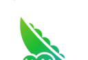 Pea Pods logo image