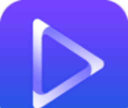 Zidian Video logo image