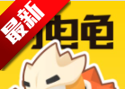 Lightning Turtle logo image