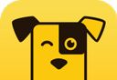 Little Yellow Dog Recycler logo image
