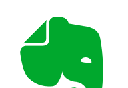 Evernote  logo image