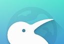 Kiwi Browser logo image