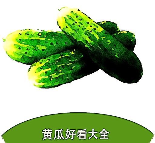 Cucumber Reading logo image