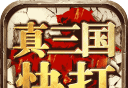 True Three Kingdoms Fight   