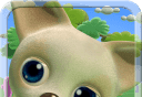 Talking Chihuahua   