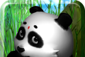 Talking Panda   