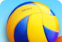 Beach Volleyball 3D   