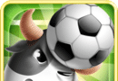 Football Crazy   