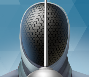 Real Fencing Game   