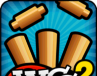 Cricket Championship 2   