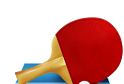 Table Tennis Simulation   