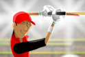 Cricket Premier League   