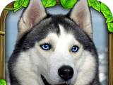 Stray Dog Simulator   