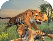 Tiger Clan   