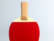 Hot Blood Ping Pong   