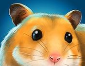 My Animal Foster Place   