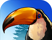 Bird's Paradise   