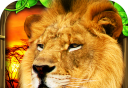 Lion Simulator   