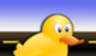 Duck   Crossing