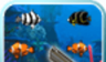 Shooting fish   