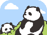 Panda Forest   